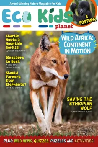 Eco Kids Planet